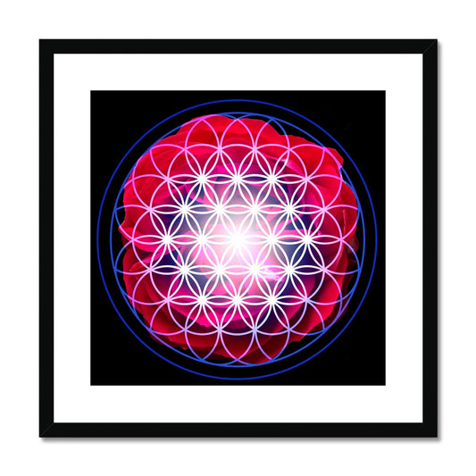Red Rose Flower of Life Framed & Mounted Print - Nature of Flowers