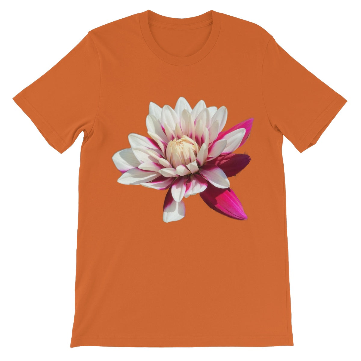 Pink Dahlia  Unisex Short Sleeve T-Shirt - Nature of Flowers