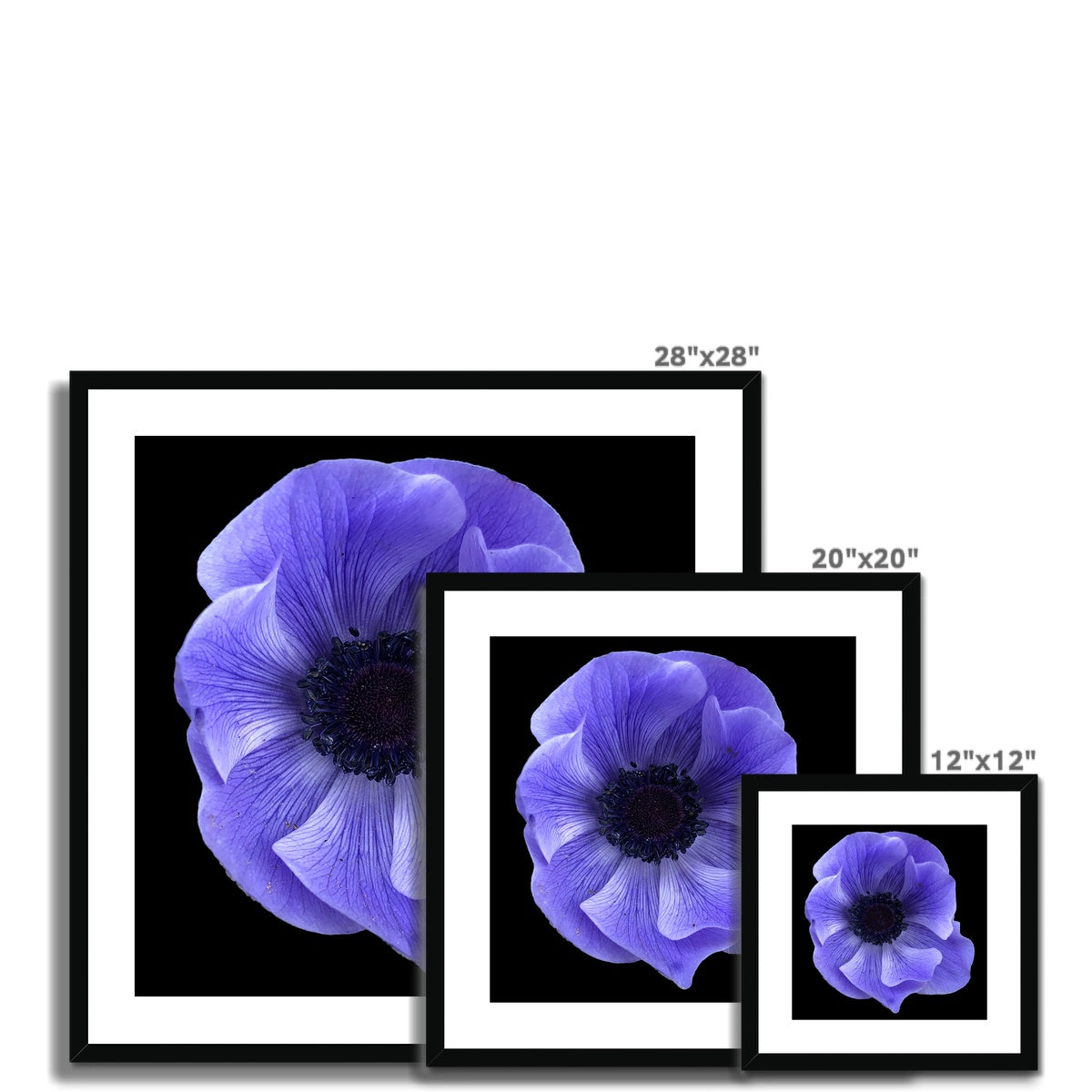 Blue Flower Print Framed & Mounted Print
