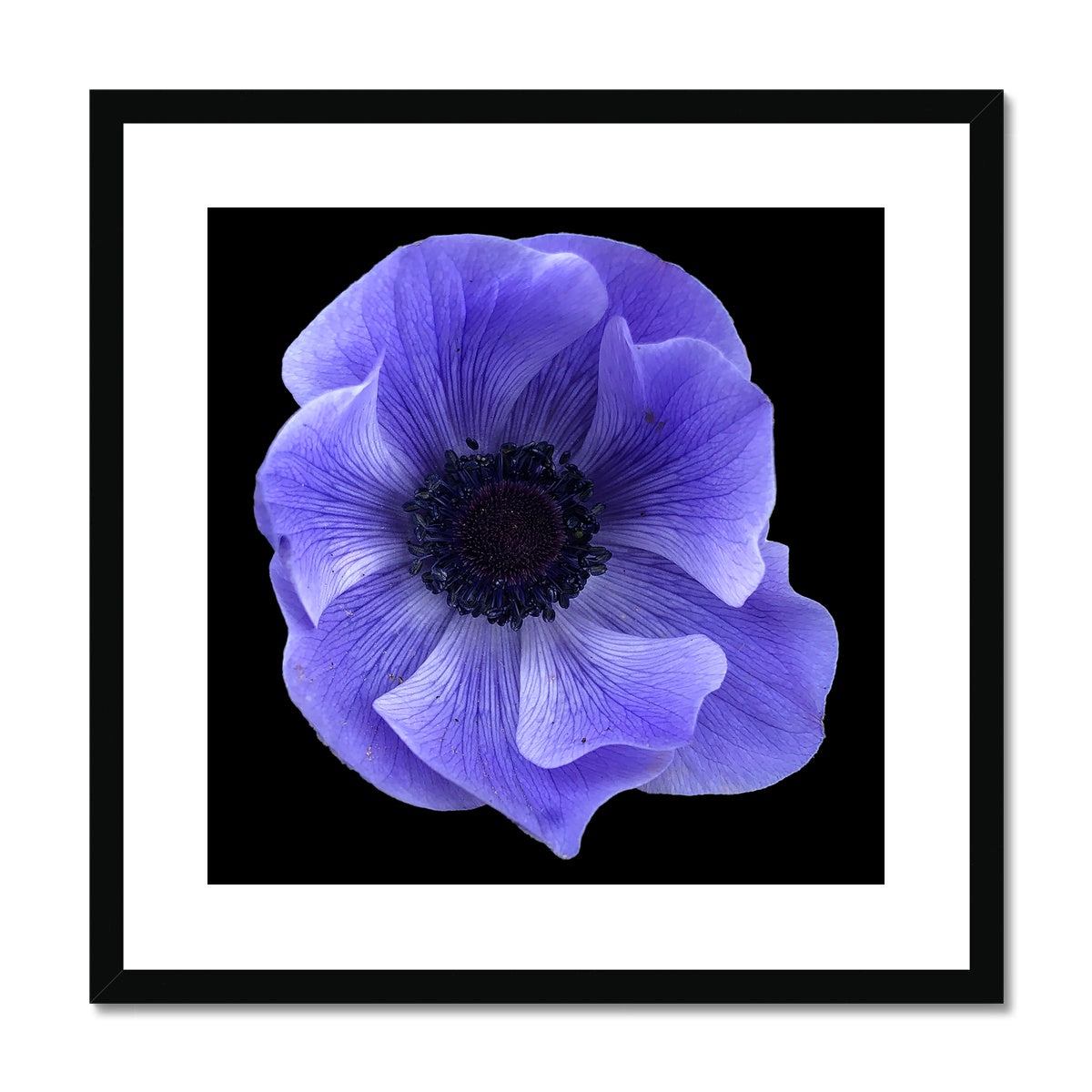 Blue Flower Print Framed & Mounted Print