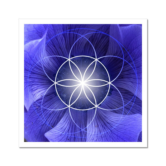 Blue Flower Seed of Life C-Type Print - Nature of Flowers