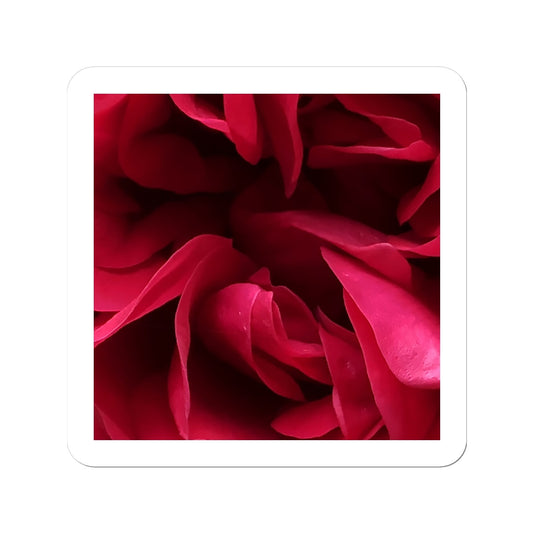 Red Rose Macro Flower Sticker