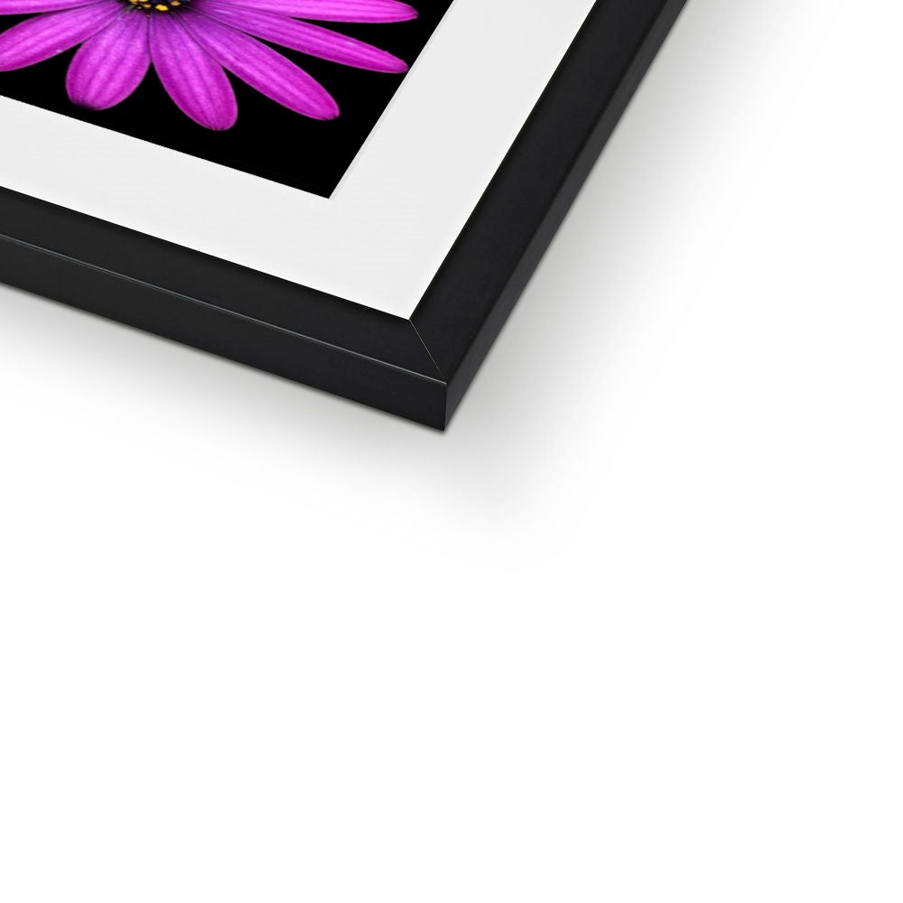 The Geometry of a Flower 1 Framed & Mounted Print