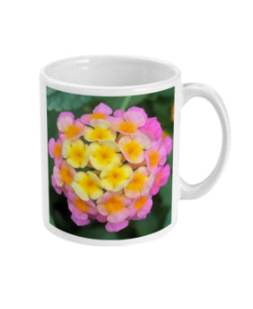 "The Rainbow Effect in Bloom" Yellow Orange Pink Double Flower Mug - Nature of Flowers