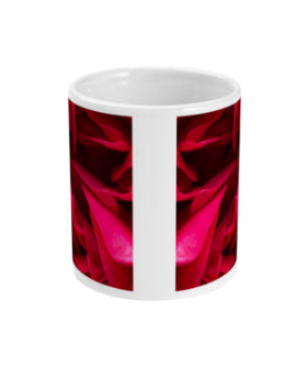 "Back inside to feel the warmth" Red Rose Double Flower Mug - Nature of Flowers
