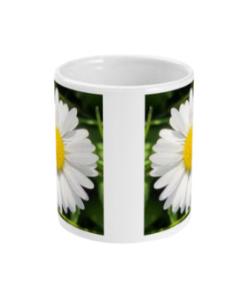 "Completing the almost perfect circle 2" White Daisy Double Flower Mug - Nature of Flowers