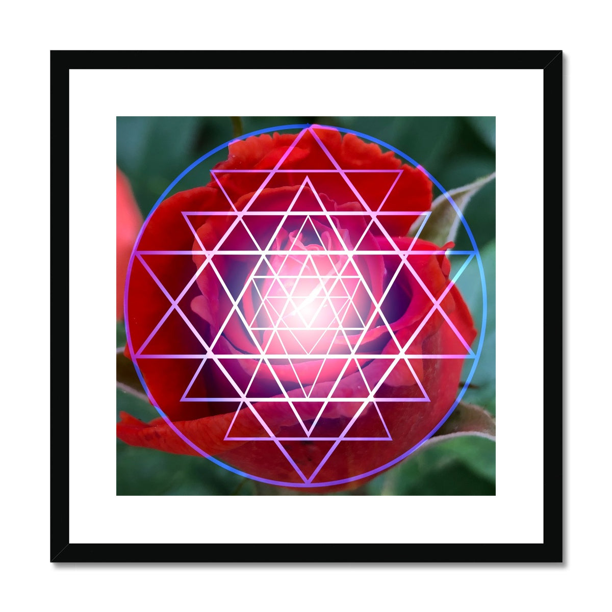 Red Rose Shri Yantra Framed & Mounted Print - Nature of Flowers