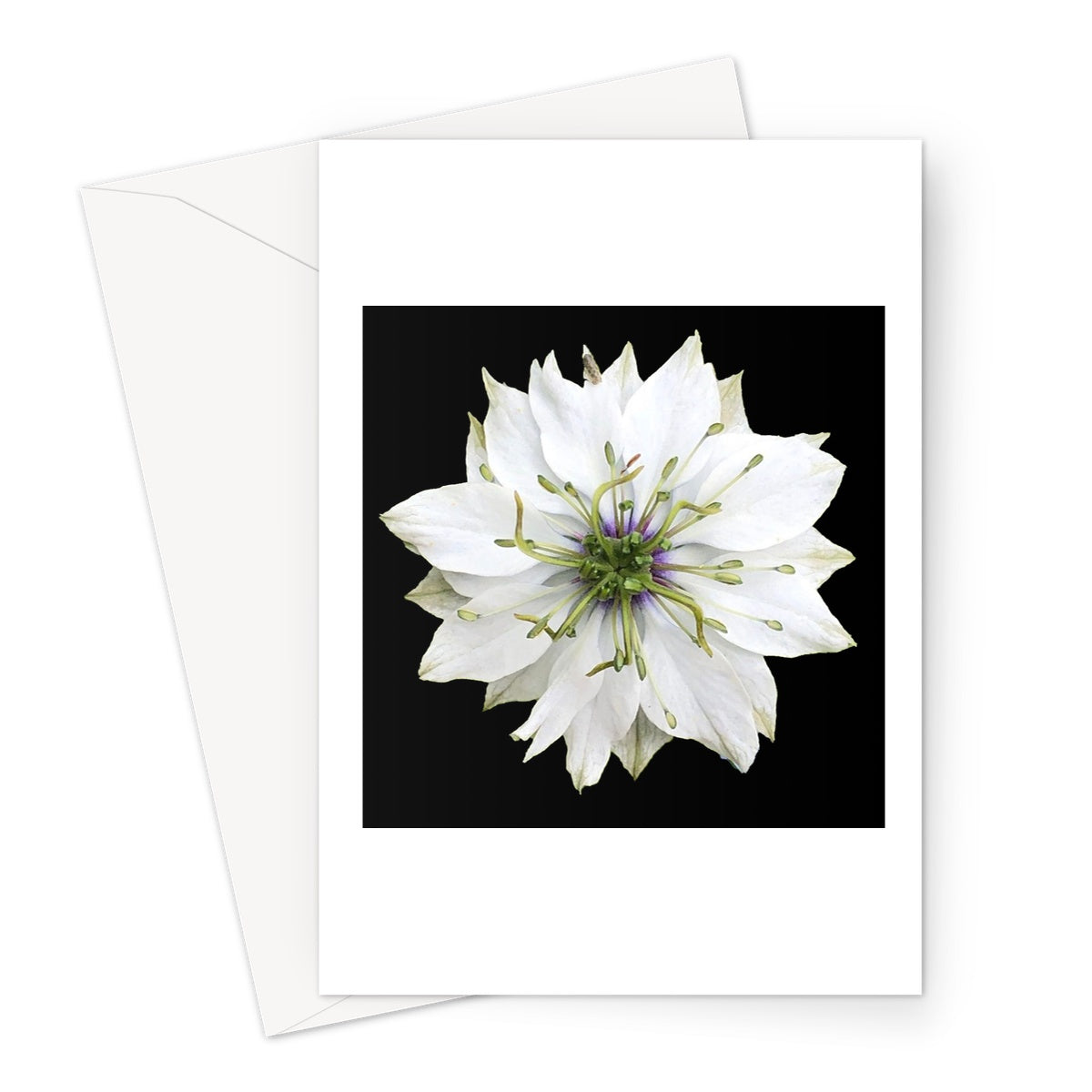 White Flower Print 'Nigella Love in the Mist' Greeting Card - Nature of Flowers