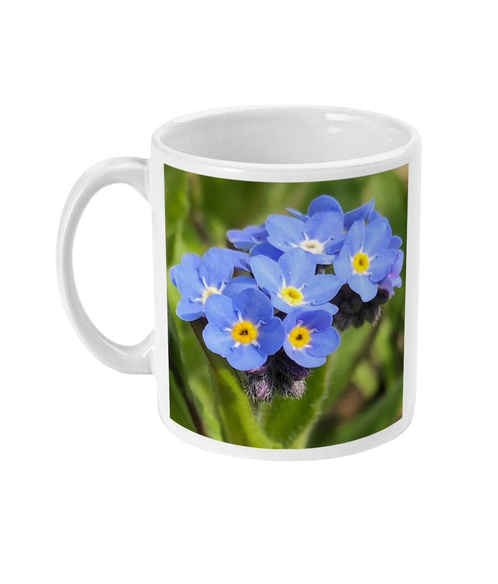 Blue Forget Me Not 2 Double Flower Mug - Nature of Flowers