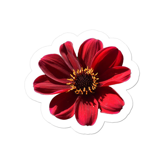 Red Flower Sticker’s