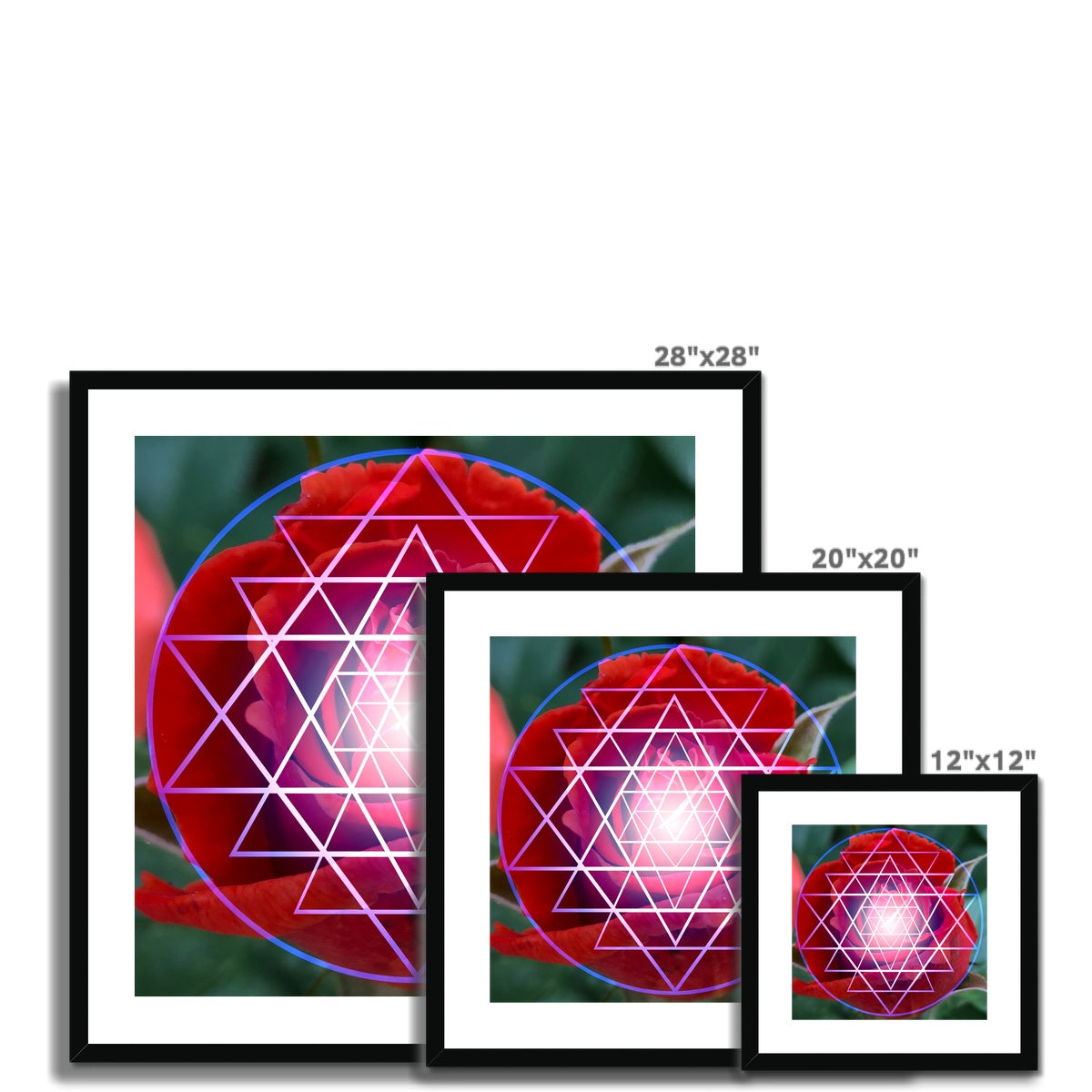 Red Rose Shri Yantra Framed & Mounted Print - Nature of Flowers