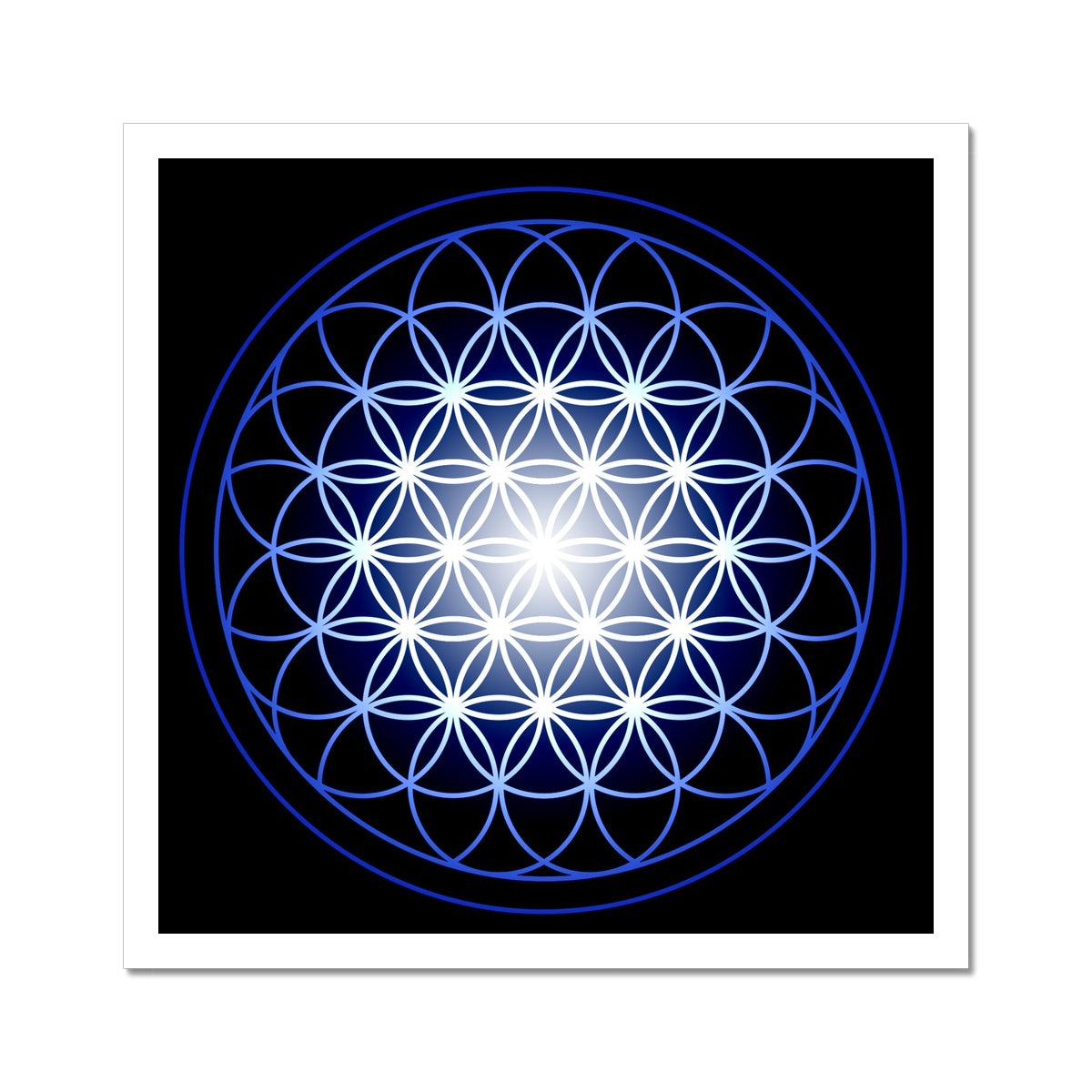 Flower of Life in Blue Print C-Type Print - Nature of Flowers
