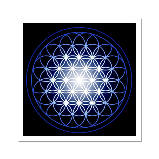 Flower of Life in Blue Print C-Type Print - Nature of Flowers