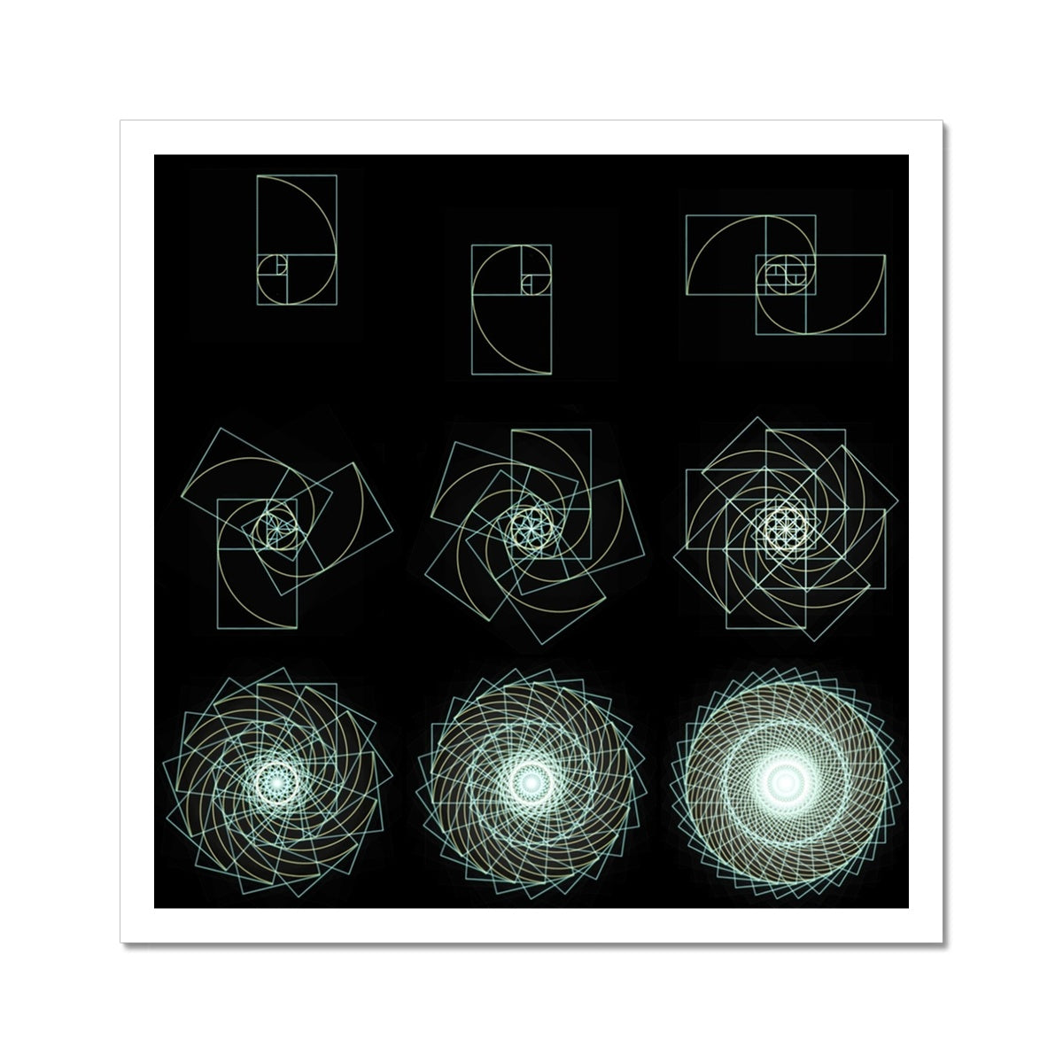 Fibonacci Sequence C-Type Print | Nature of Flowers, image size:1200x1200