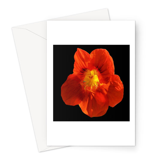 Orange Flower Print 'Nasturtium' Greeting Card - Nature of Flowers