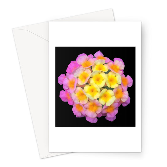 Pink Orange Flower Print 'Lantana Camara' Greeting Card - Nature of Flowers