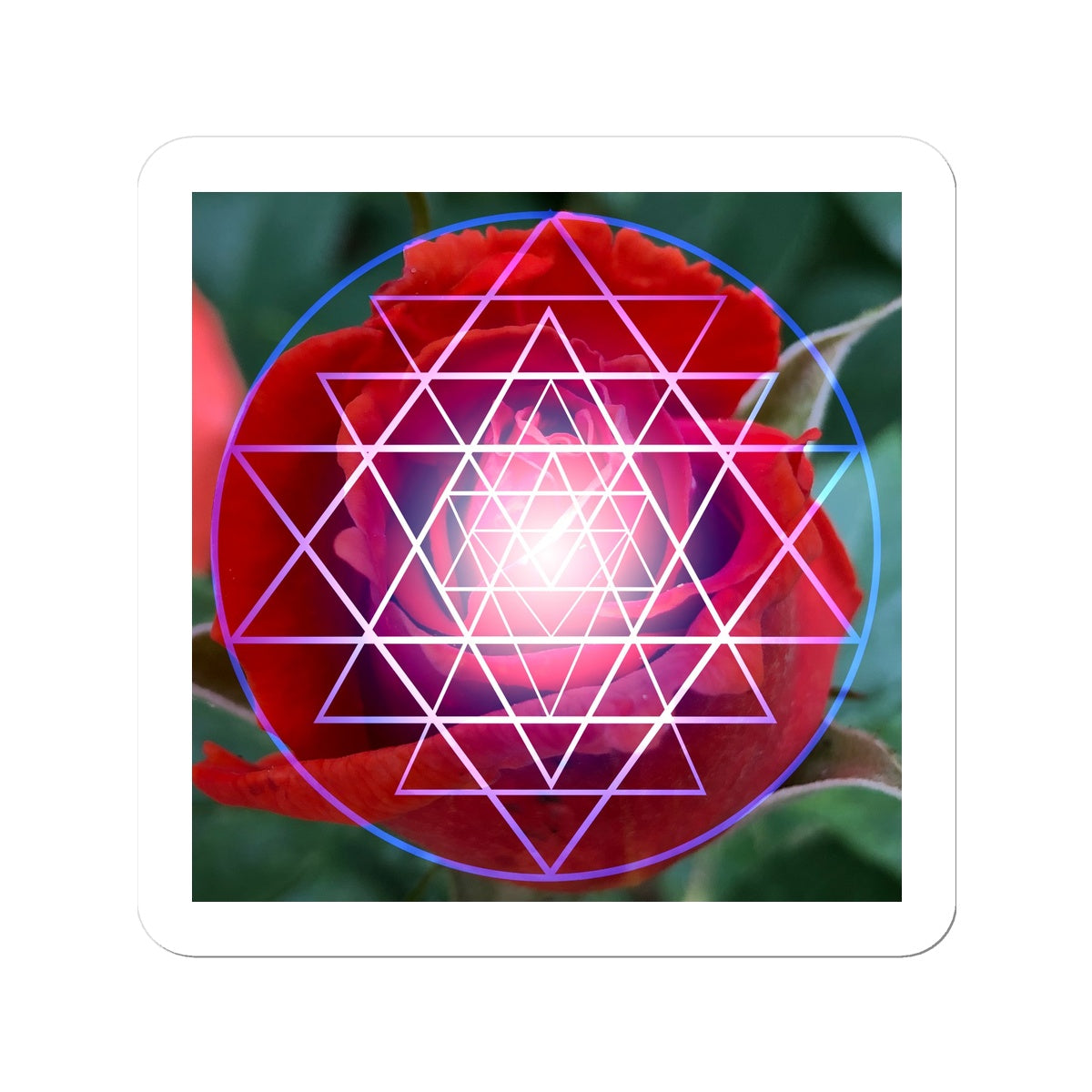 Red Rose Shri Yantra Sticker - Nature of Flowers