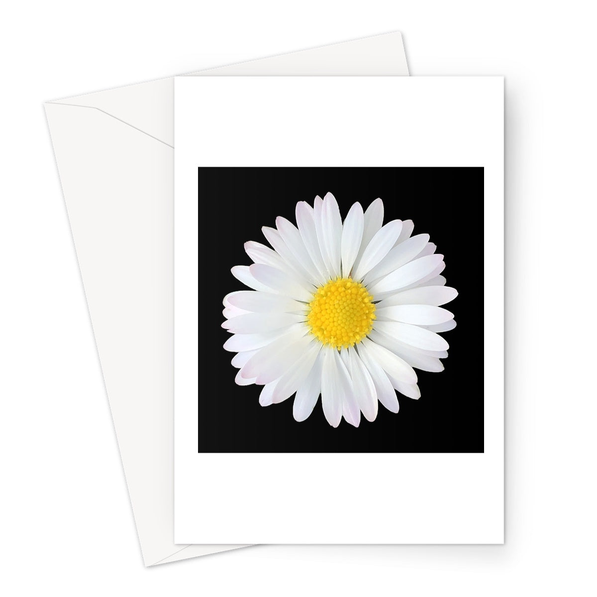 Daisy Print Greeting Card - Nature of Flowers