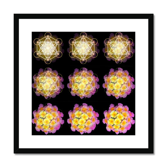The Geometry of a Flower 2 Framed & Mounted Print