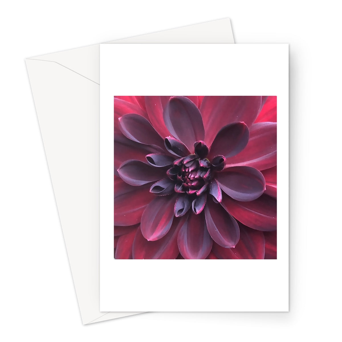 Deep Red Dahlia Macro Flower Greeting Card