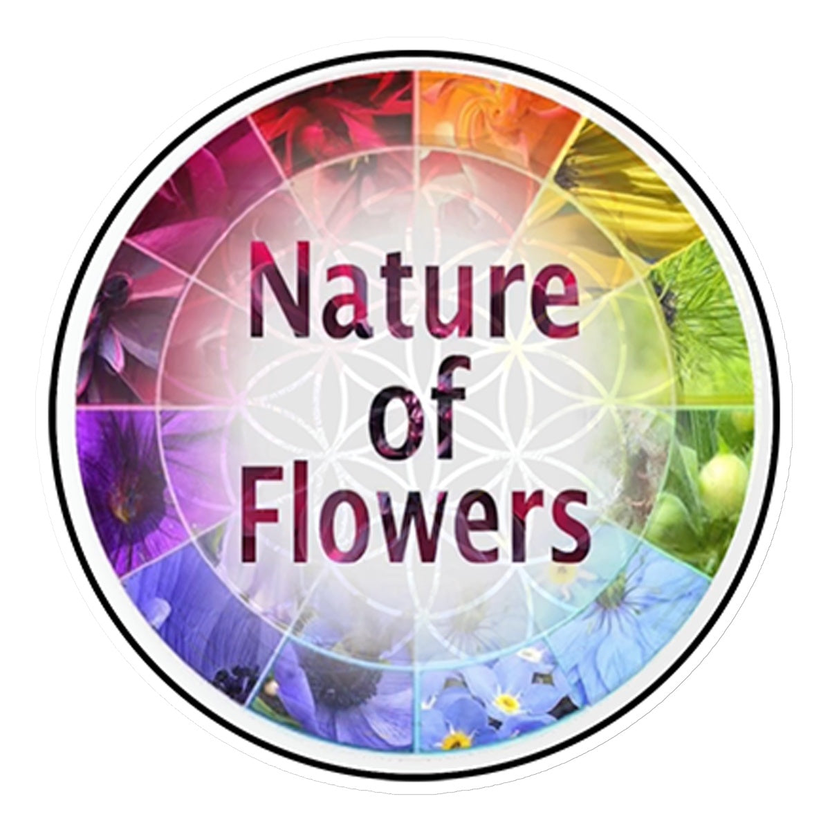 Nature of Flower Logo Sticker in