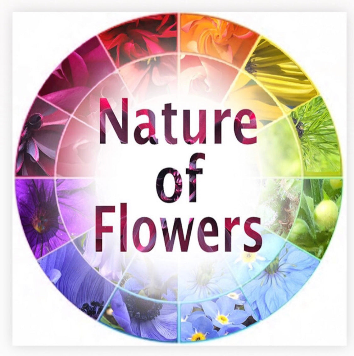 Gift Card - Nature of Flowers