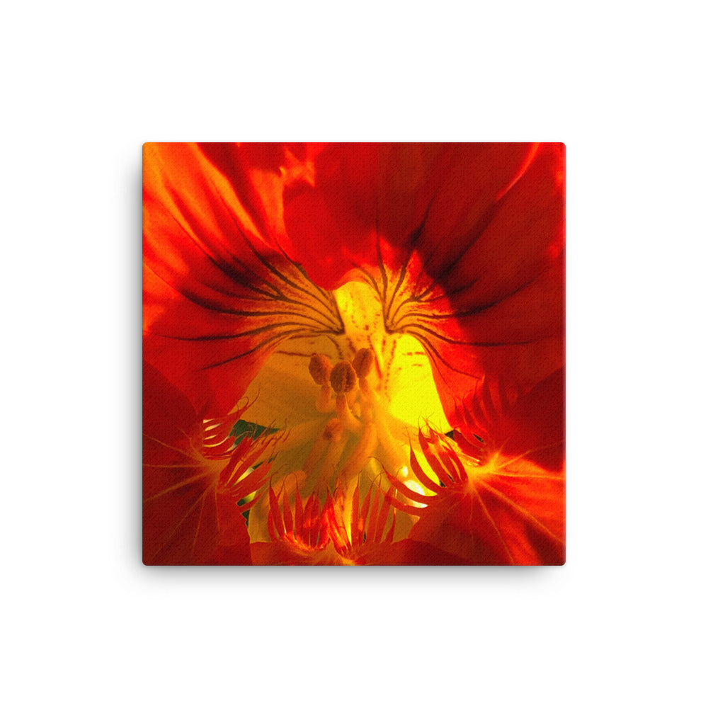 "A Very Close Look Inside" Red Orange Flower Canvas - Nature of Flowers