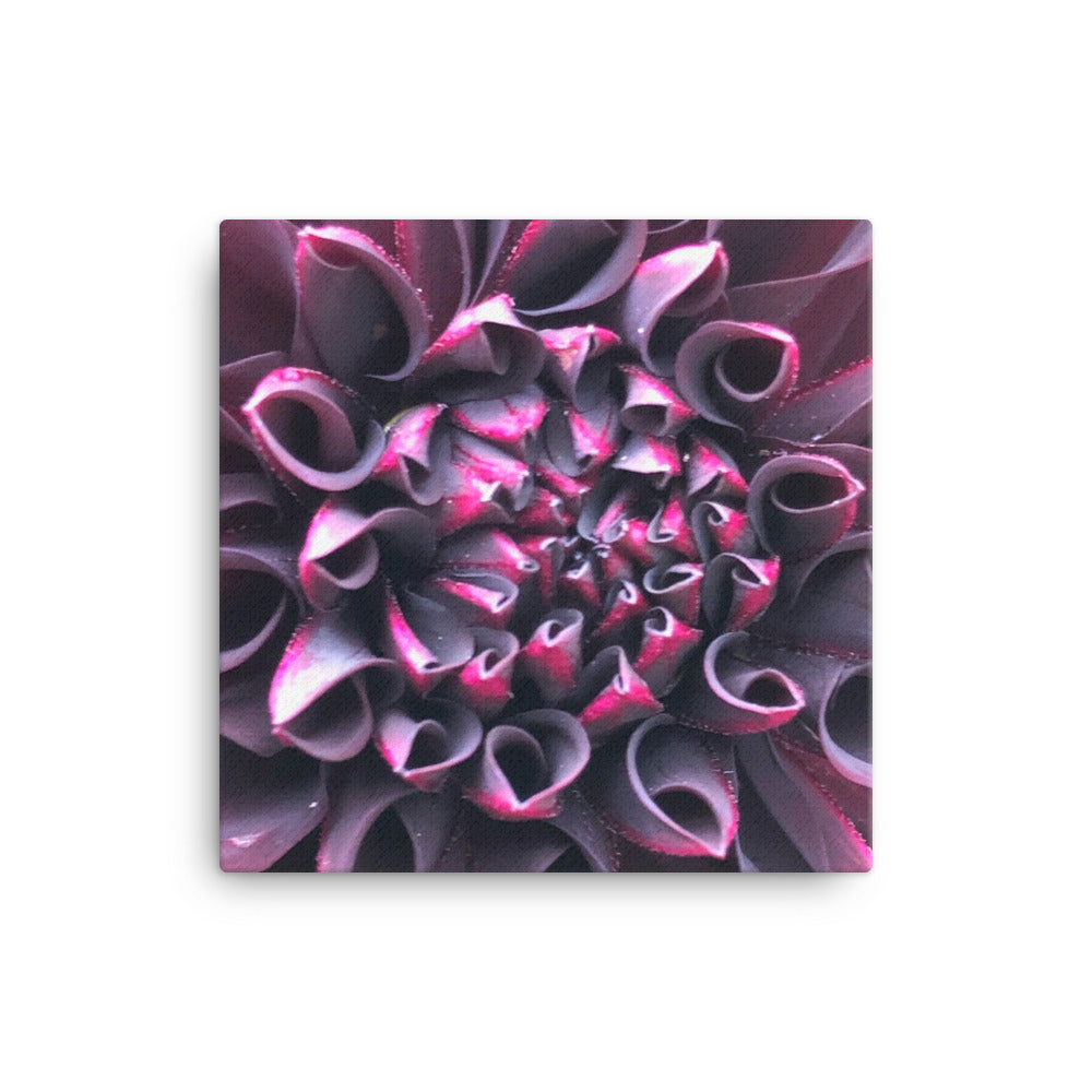 "Even in Darkness there is still light" Purple Flower Canvas - Nature of Flowers